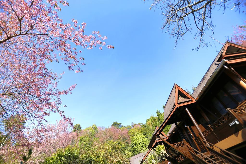 Angkhang Nature Resort Fang Exteriör bild