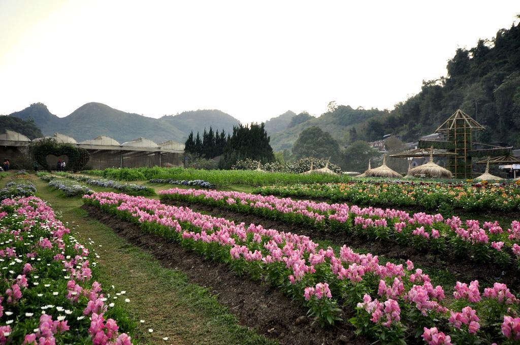 Angkhang Nature Resort Fang Exteriör bild